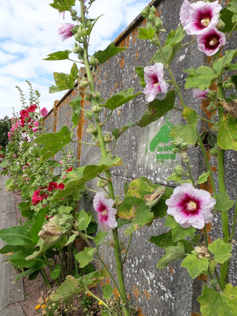 Impasse des Corsaires