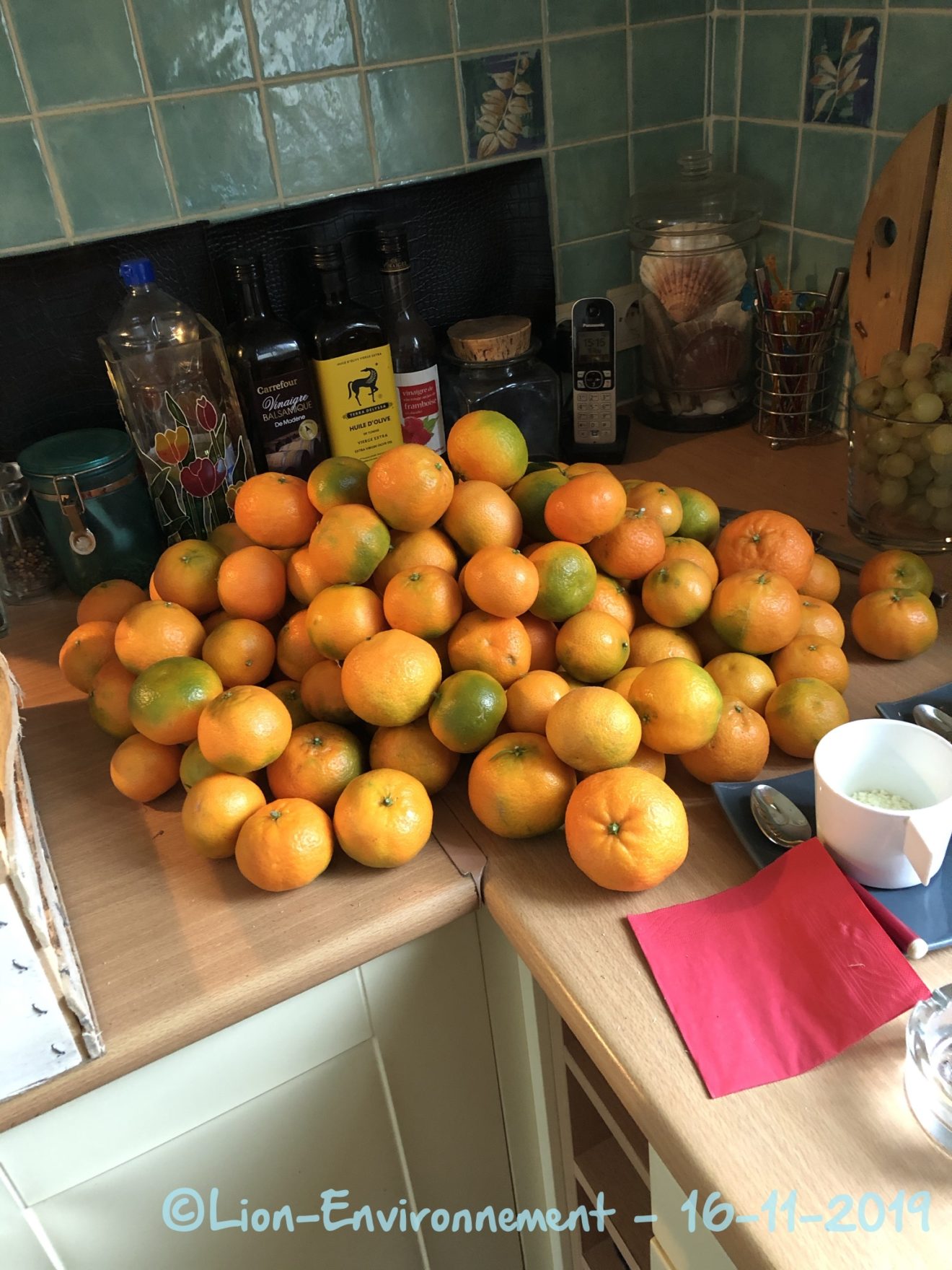 d'où viennent nos oranges?