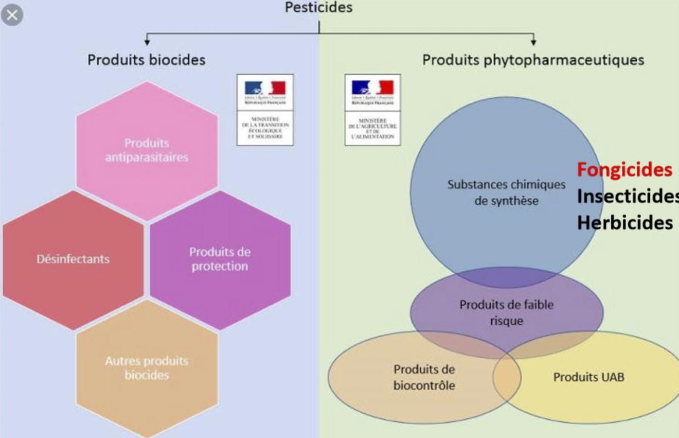 SDHI - Le rapport du Sénat