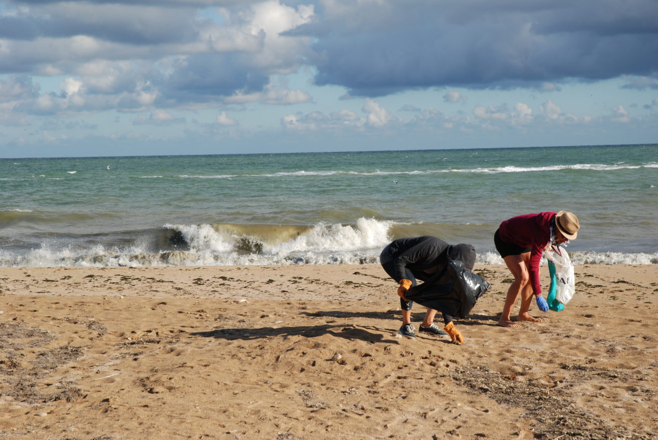 Reprise nettoyage de plage